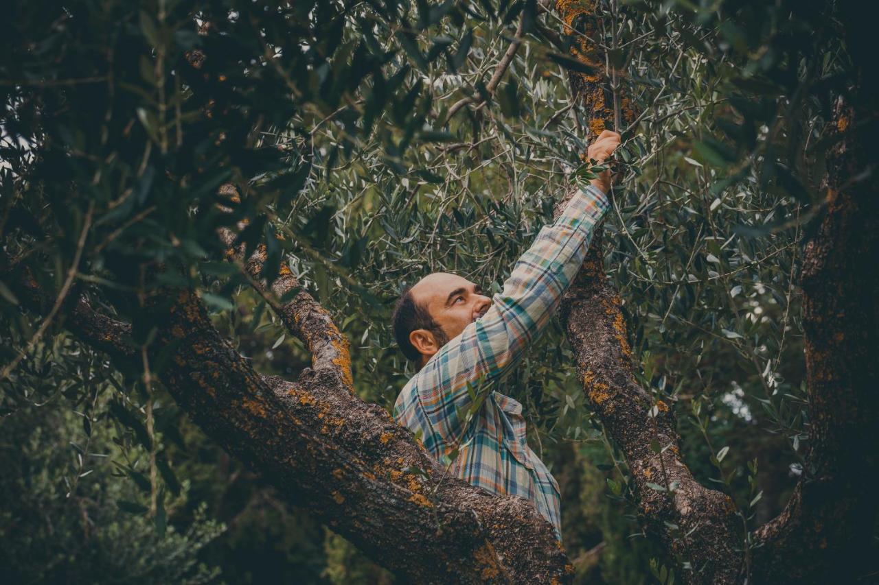 Agriturismo Buonasera バニョレージョ エクステリア 写真
