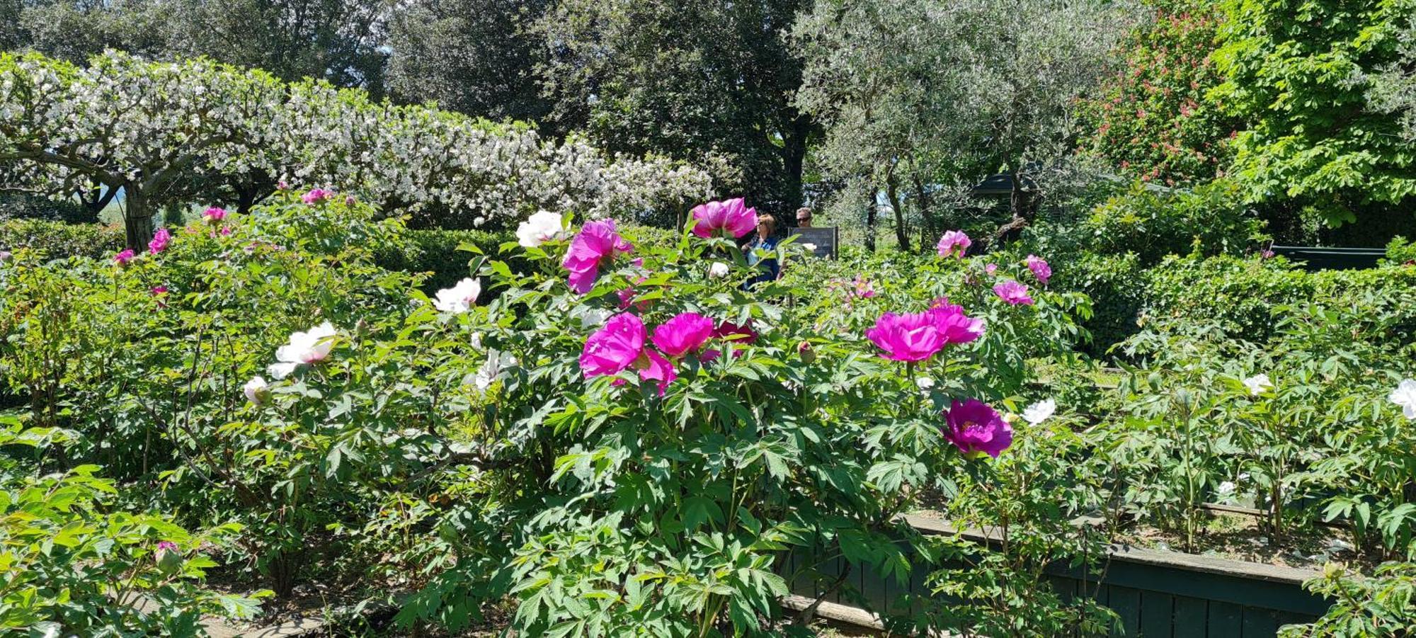 Agriturismo Buonasera バニョレージョ エクステリア 写真